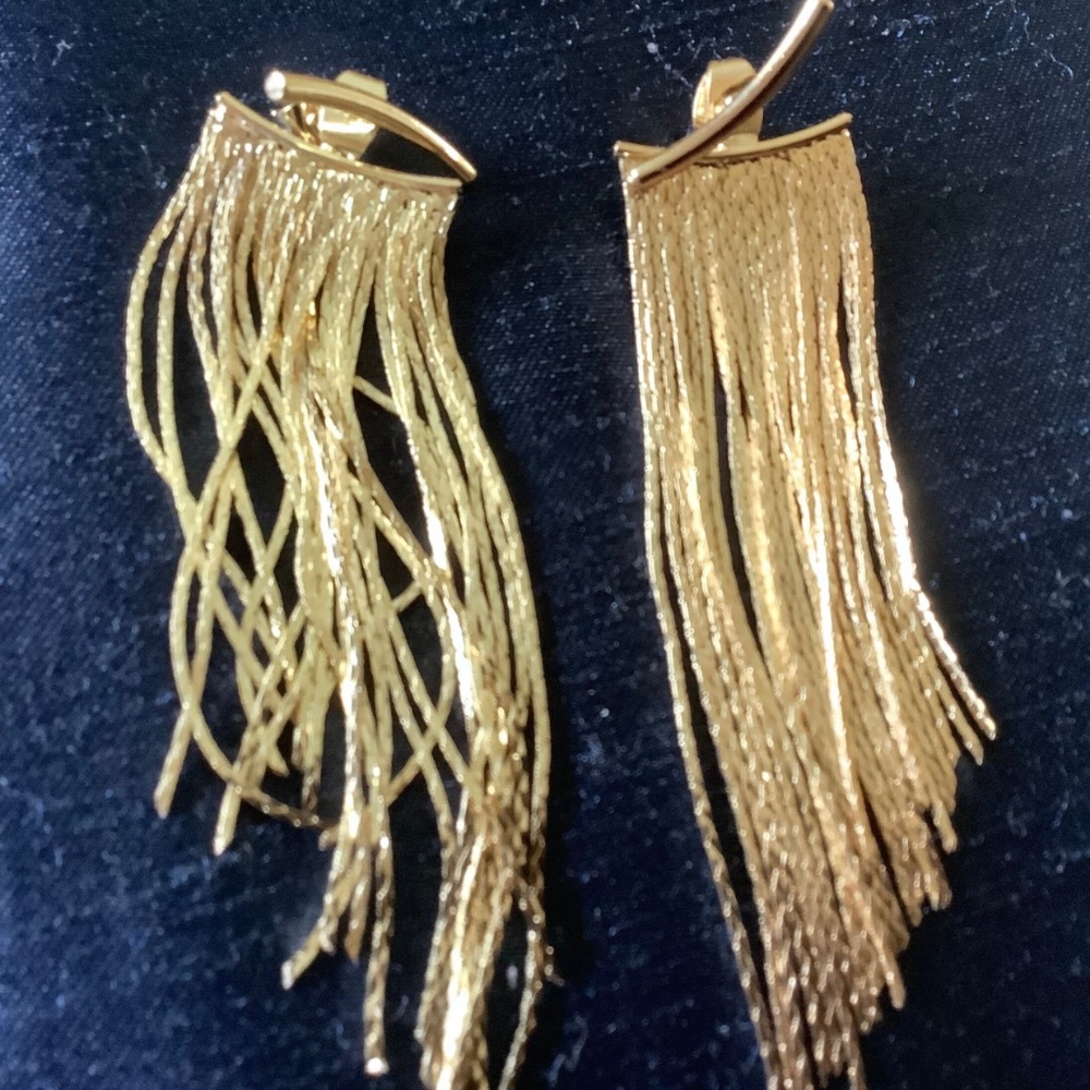 Minimalist Fringe Long Earrings - Picture 10 of 10